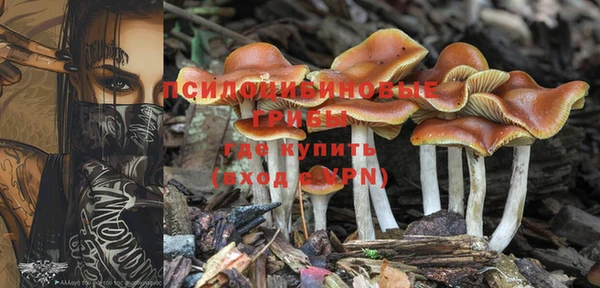 прущие грибы Алексин