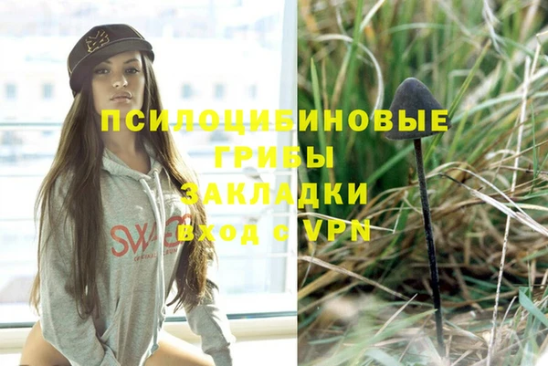 прущие грибы Алексин