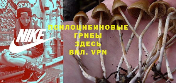 прущие грибы Алексин