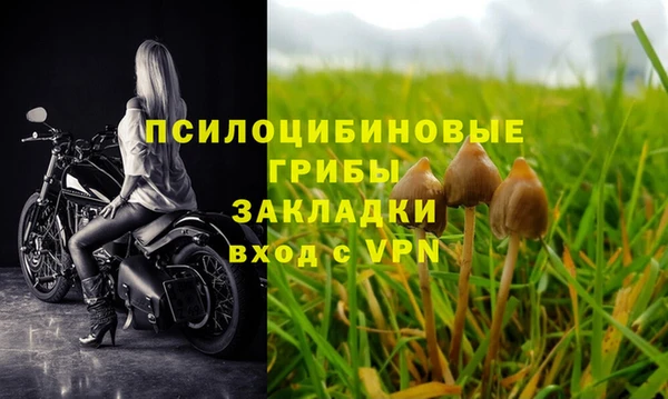 прущие грибы Алексин