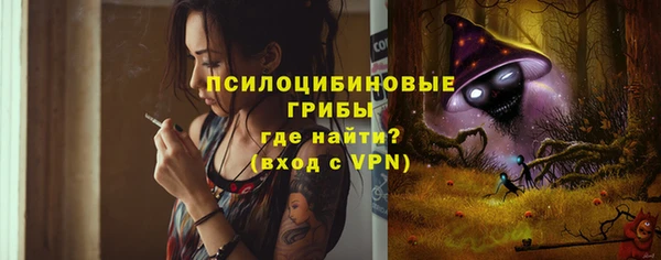 прущие грибы Алексин